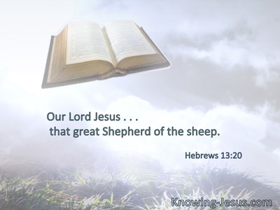 Our Lord Jesus . . . that great Shepherd of the sheep.